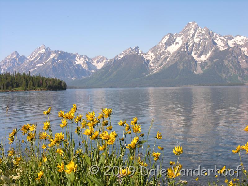 DSCN0100.JPG - Wildflowers against the backdrop of the Tetons. Jackson Lake is the Park's largest lake.