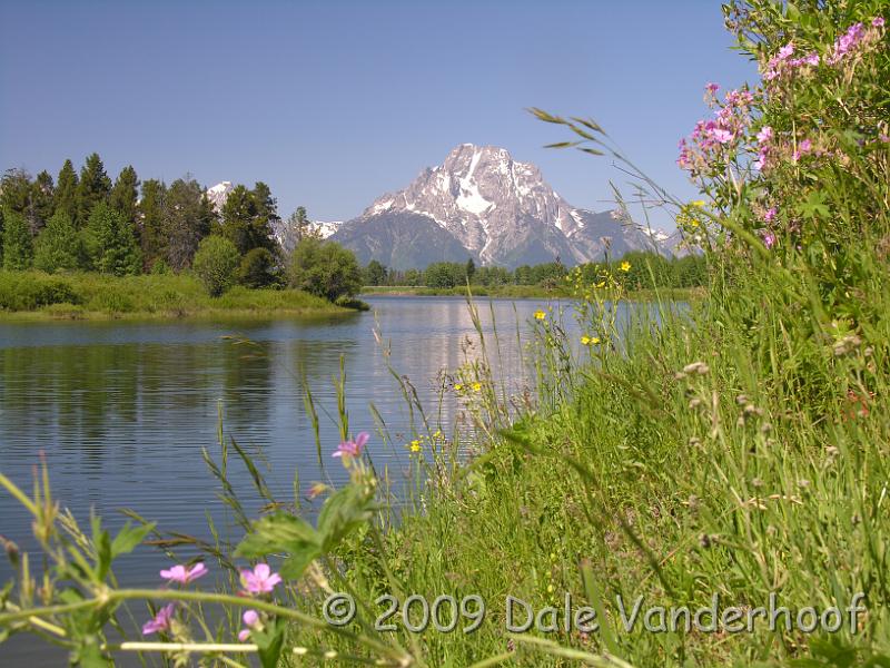 DSCN0349.JPG - Oxbow Bend is named that because the river takes a bend here.
