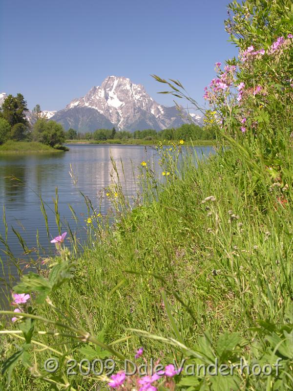 DSCN0350.JPG