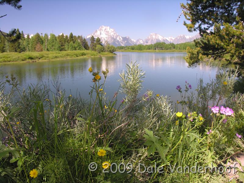 DSCN0353.JPG - Oxbow bend has plenty of picture-taking opportunities.