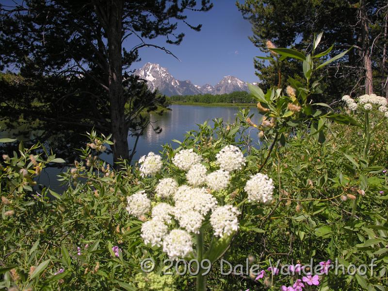 DSCN0358.JPG