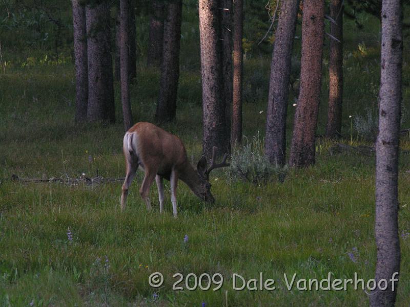 DSCN0367.JPG - Suppertime