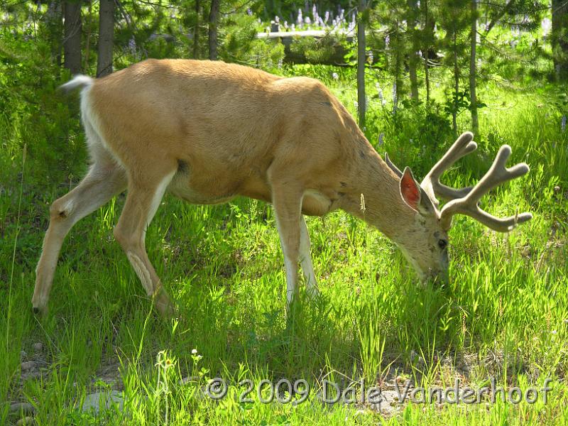 DSCN0417.JPG - Lunchtime!