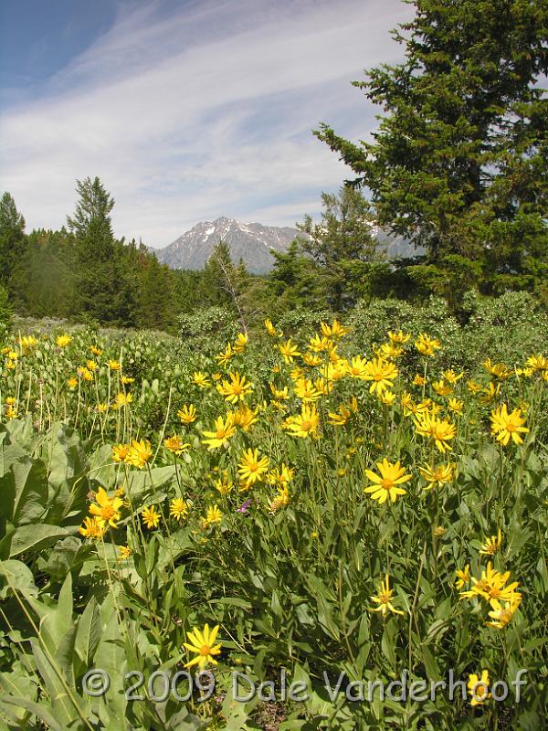 DSCN0420.JPG